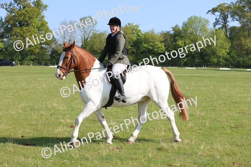 20250427-0531 - Class 17 - Novice Showing