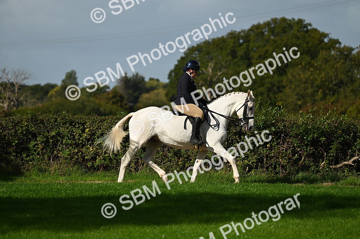 SBM_01346 - S2 - TSR Ridden Horse Showing