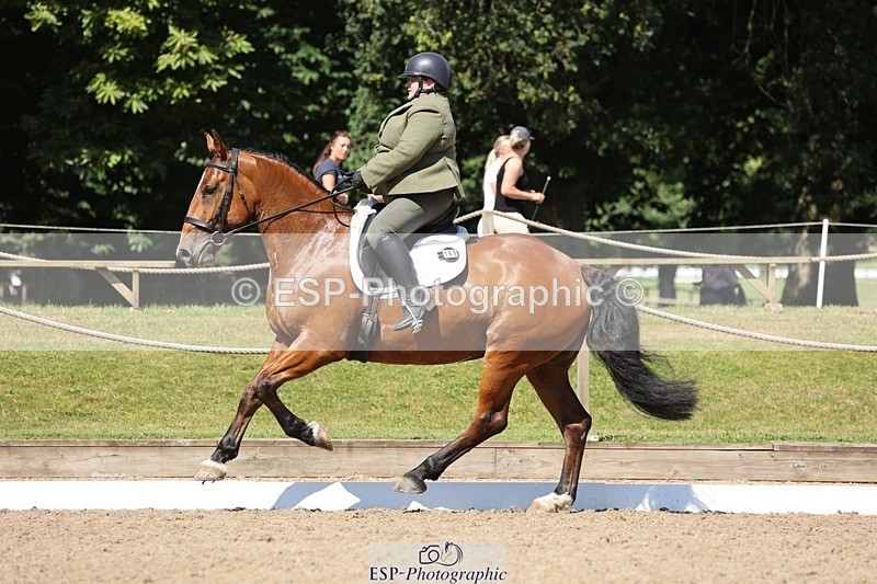 240719-105430-00819 - 169-Marion_Eaves-Indigo_Queen_of_Hearts