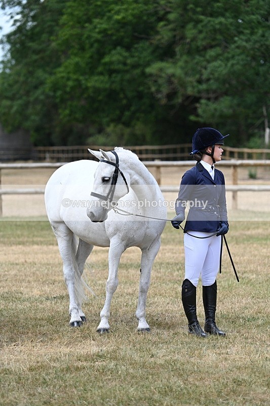 WJ7_1492 - Class 4 Prettiest Mare up to 14.2hh in hand