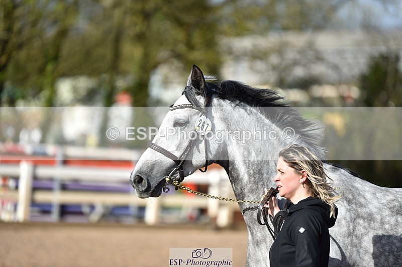 240417A-170532-01360 - 4pm to Finish