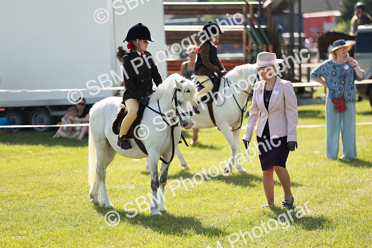 SBM_12601 - Class 106-107 - BSPS LIHS Working Sports Pony