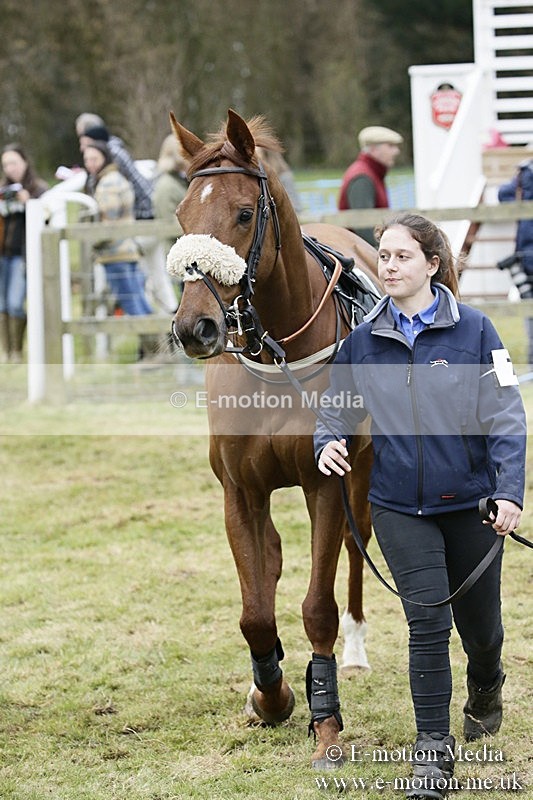 PtP 110318 183 - Hampshire Hunt Point-to-Point Hackwood Park 11/03/18