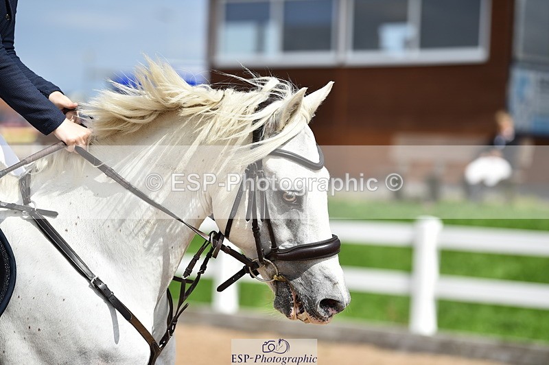 230903A-140212-04981 - Cls 20 Pony Newcomers & 1m Open
