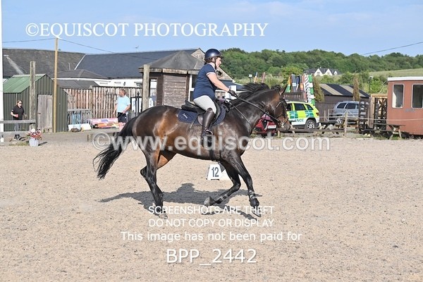 BPP_2442 - CLASS 4 Senior British Novice/ 90cm Open