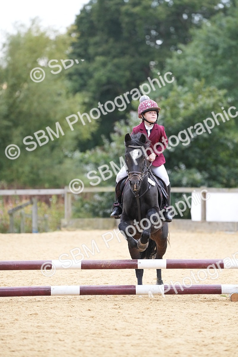 SBM_74564 - J4 - Mini Tour Junior Pony 45cm Championship