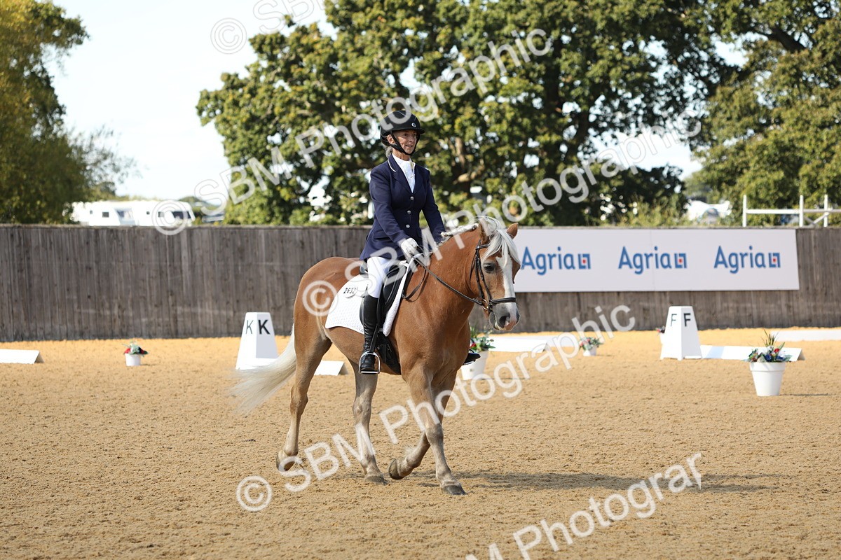 SBM_22376 - D17 - Grand Tour Championship - Novice 27