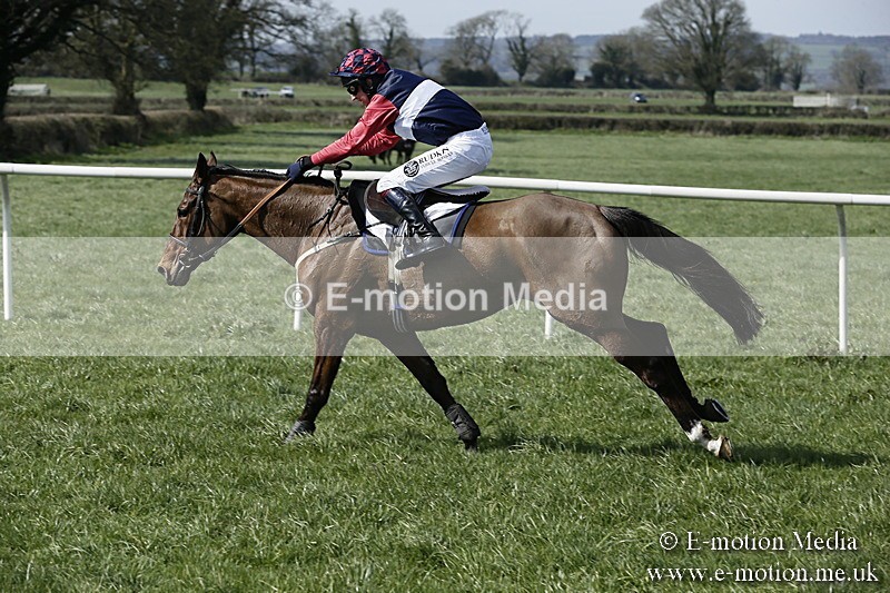 PtP 260317 17 - Mendip Farmers Point-to-Point Ston Easton 26/03/17
