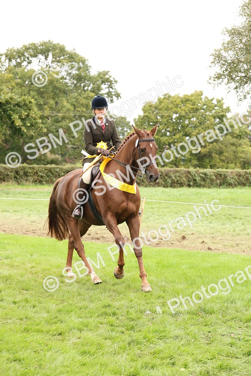 SBM_64354 - S65 - Riding Horse & Hack & Thoroughbred Ridden