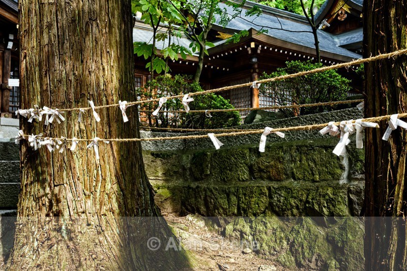 DSC05058 - Takayama