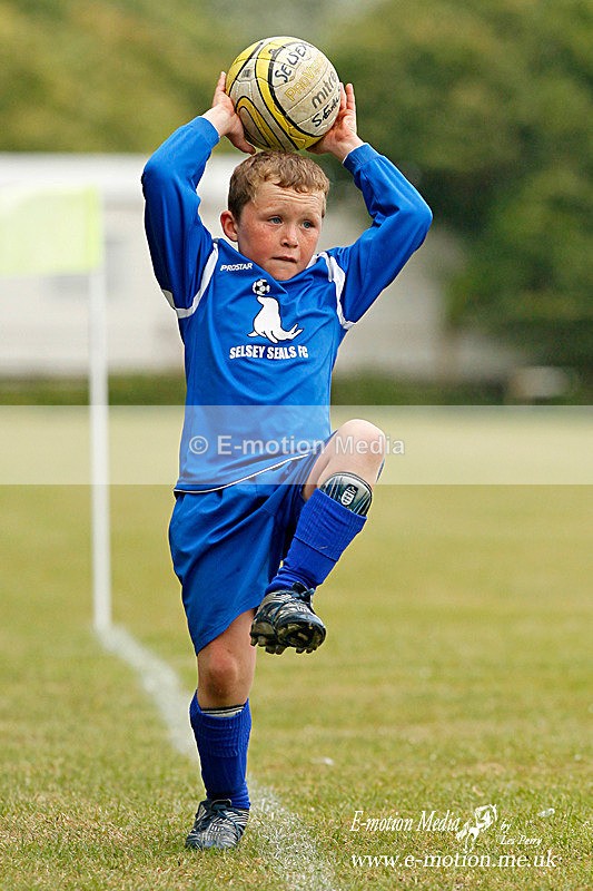 _LES8487p - Pitch Action