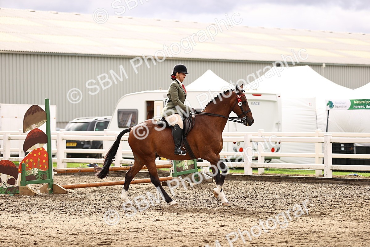 SBM_00556 - Class 53 - Ridden Competition Horse Pony