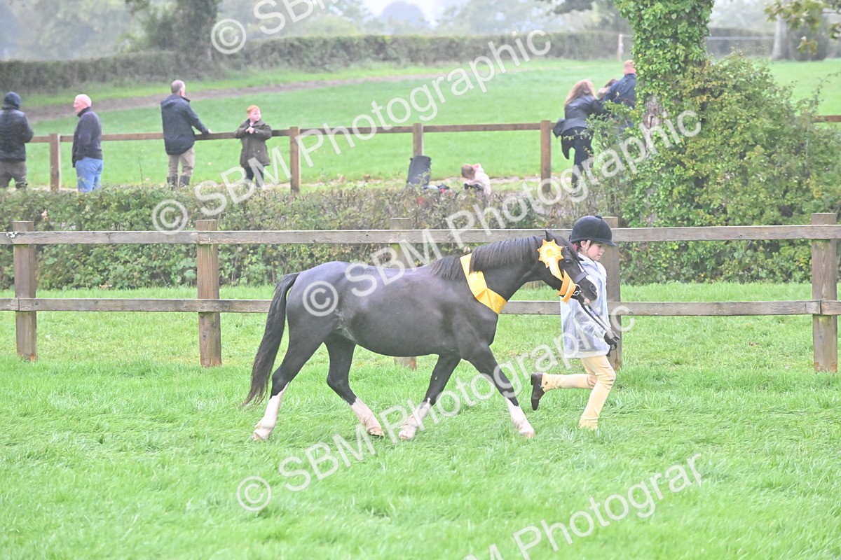 SBM_72150 - Equitation Supreme Championship