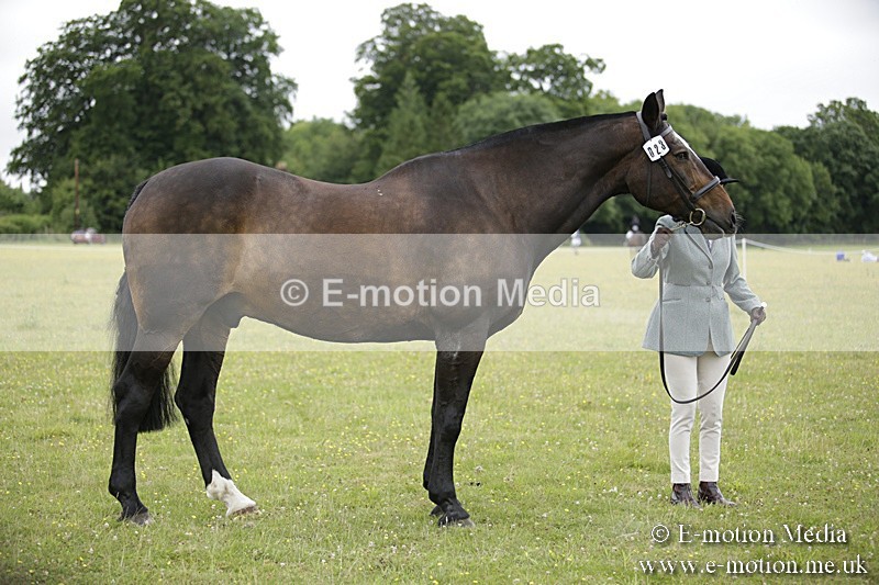 BVR160717-719 - Ring 2 BVRC Show 16/07/17