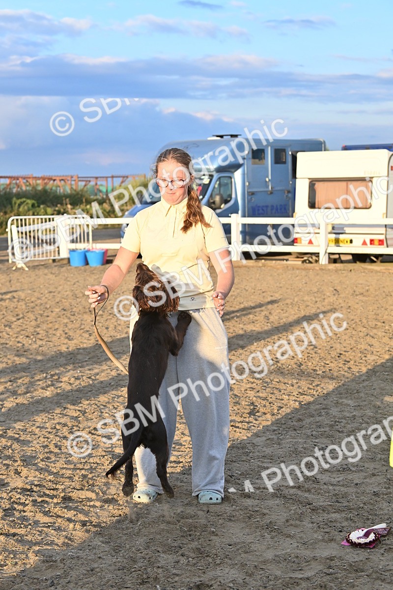 SBM_09696 - Lorry Dogs