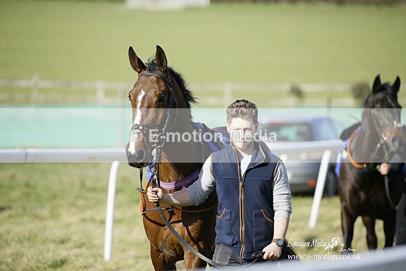 PtP 260222 164 - Kingston Blount Racing Club Point-to-Point 26/02/22