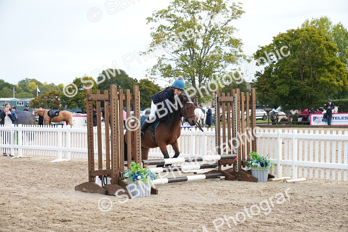 SBM_01945 - J54 - Clear Round 50cm