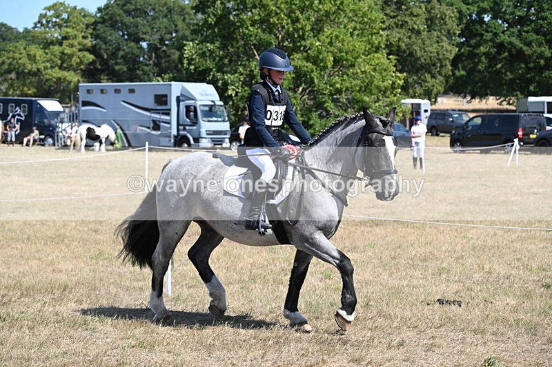 WJ6_9197 - Championship Classes 33-38