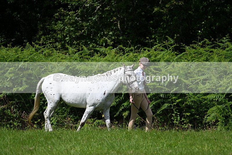 WJ7_1506 - Class 11 Condition & Turnout