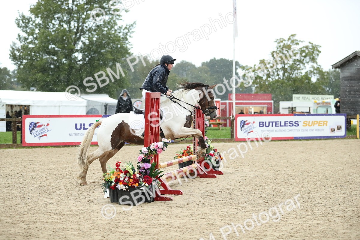 SBM_37121 - J20 - Junior Horse 50cm Championship