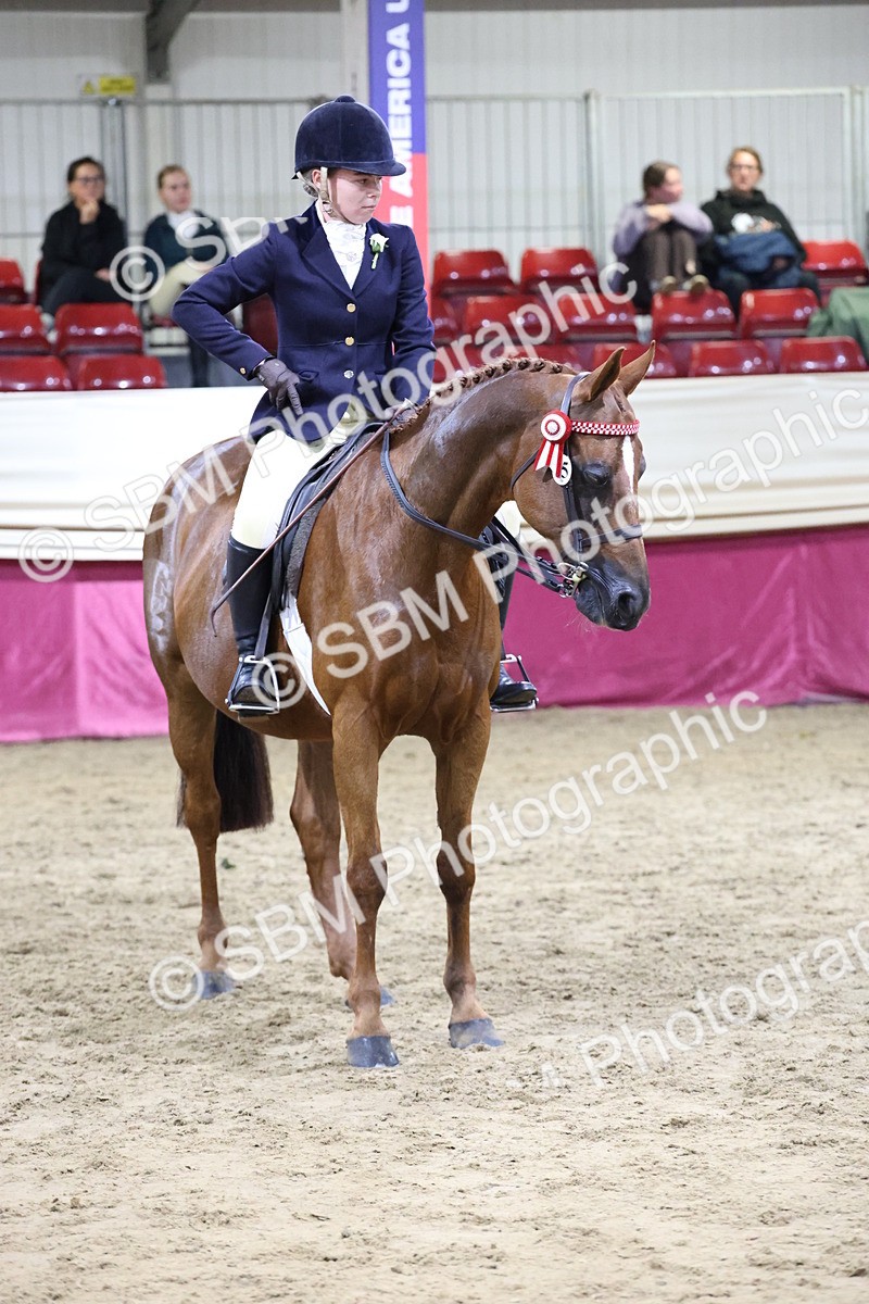 SBM_20936 - Class M - Equitation Champ