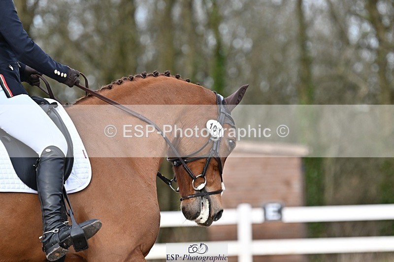 250125-133027-00633 - Dressage - CT Class 7 BE Novice 112