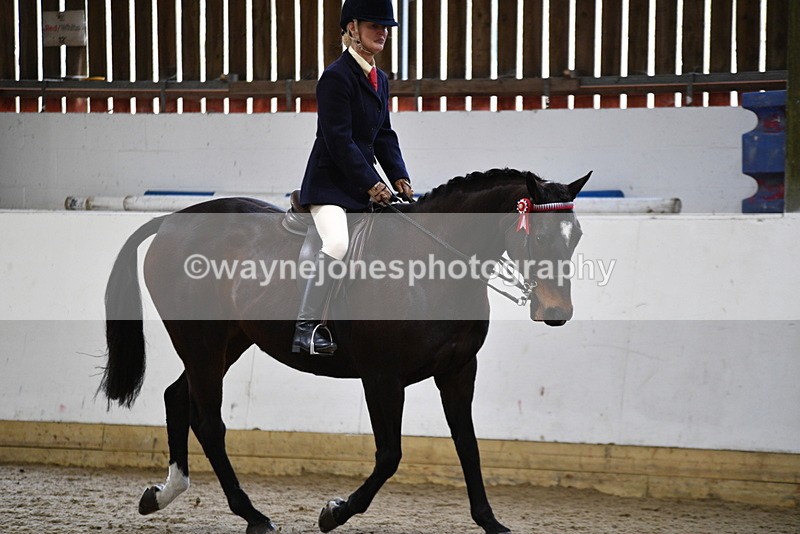 WJ5_7837 - Class 13 Ridden Part Breed