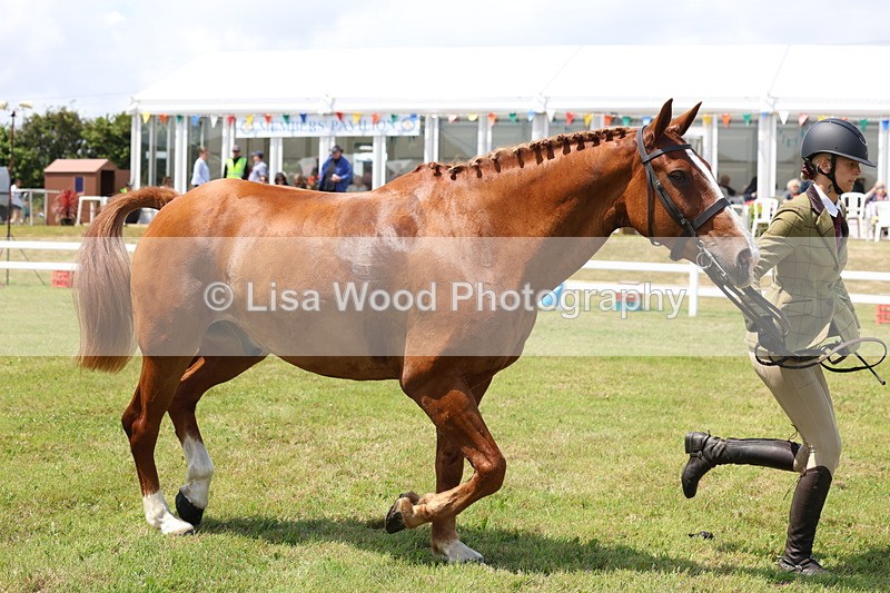 3E7A1669 - Class 9: Open Hunter