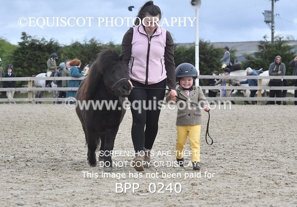 BPP_0240 - RING 2 - M&M