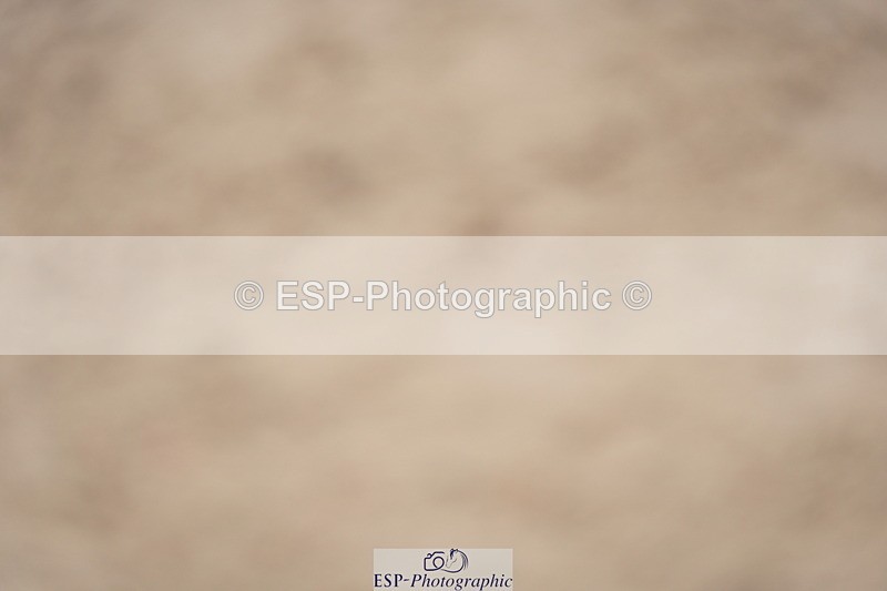 230924A-122224-04746 - 100 SJ 12.00 to End