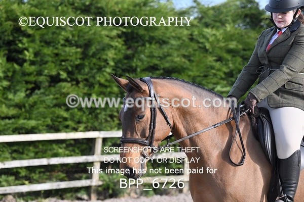 BPP_6726 - RING 1  (RIDDEN HORSES / IN HAND / VETERAN ETC)