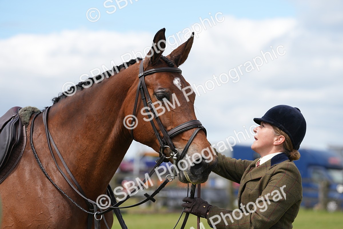 SBM_15026 - Class 100-102 - RIHS Working Hunter
