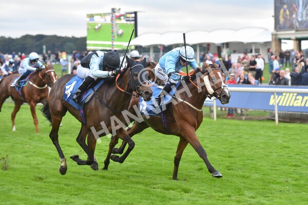 yr24092021r8-25 - Race 8 5.25pm William Hill Build Your Own Odds Apprentice Stakes