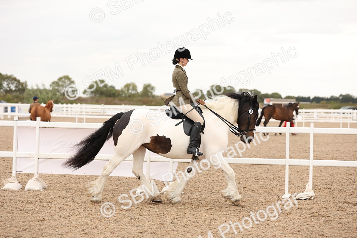 SBM_19643 - Class 216 - Ridden Traditional - Native Cob