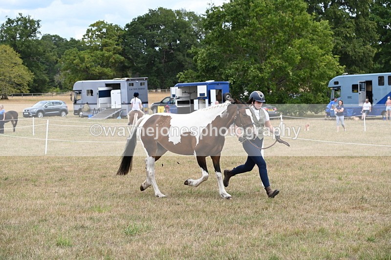 WJ6_5291 - Class 18 In-hand Coloured