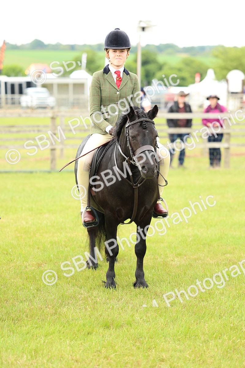 SBM_10393 - Class 44-45 - LIHS BSPS Open Nursery and Cradle Stakes