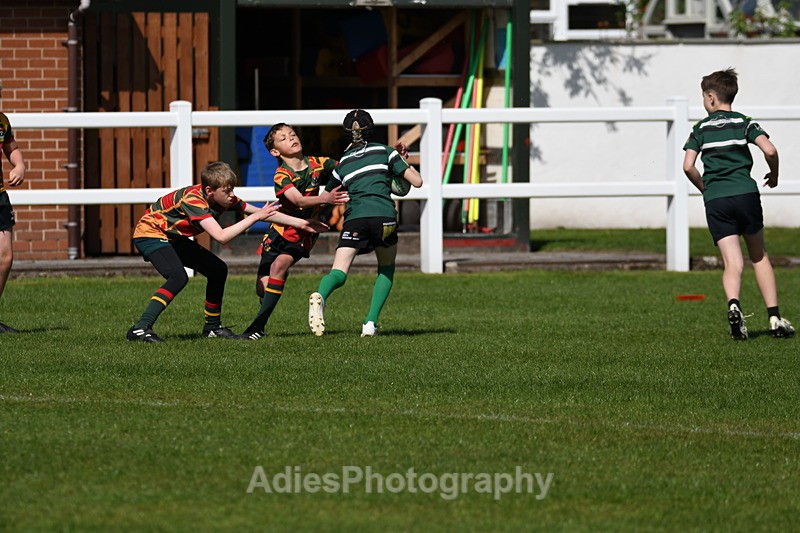  - Selby Rugby Festival 2025