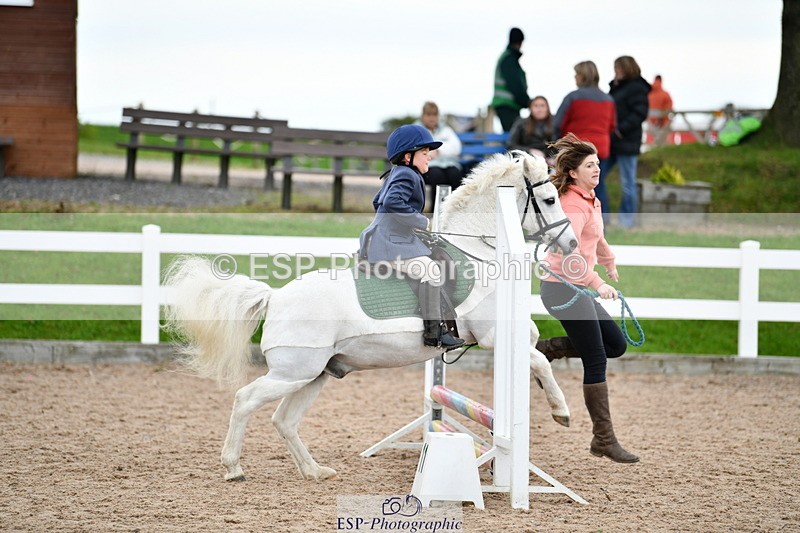 241013B-103834-00421 - Cls 2c 40cm Lead Rein