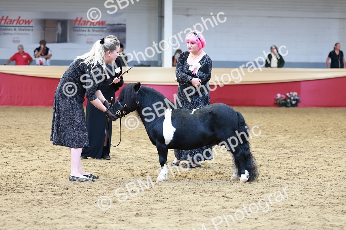 SBM_17374 - Class 951 - M&M IH Supreme Final