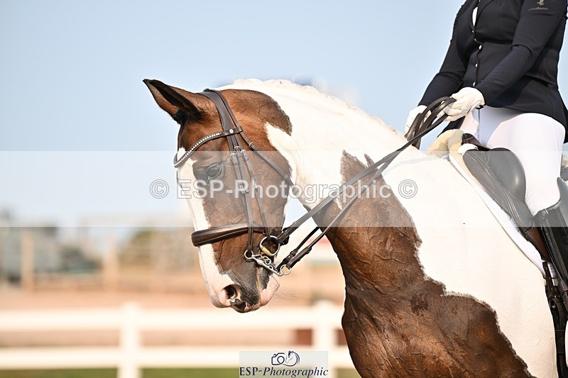 250816-165051-06497 - 029-Molly.BennettGemini.VII