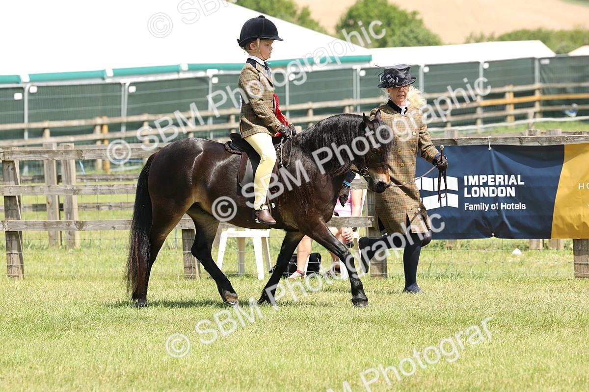 SBM_05412 - Class 24-25 - Mountain & Moorland In Hand Lead Rein and First Ridden
