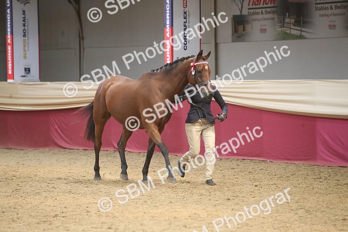 SBM_05536 - Class 9R - Regional IH Pre-Vet