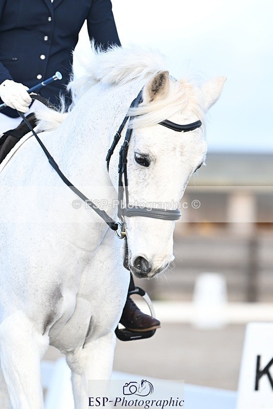 231105-144809-02478 - Cls 5 Novice 27 Start to 15.30 break