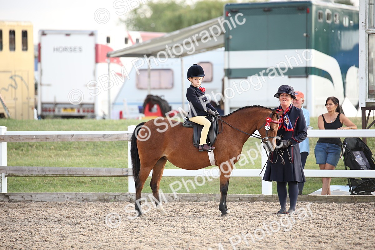 SBM_09203 - Regional Ridden Champ