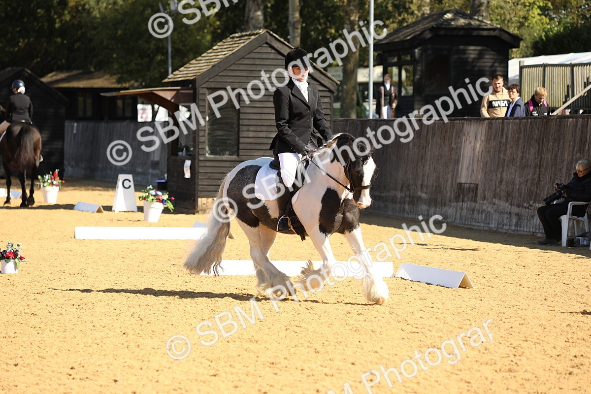 SBM_18890 - D10 - Small Tour Championship - Prelim 2