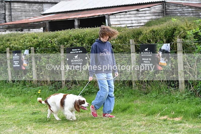 WJ5_9948 - Class 5 Best Veteran / 7 years & over