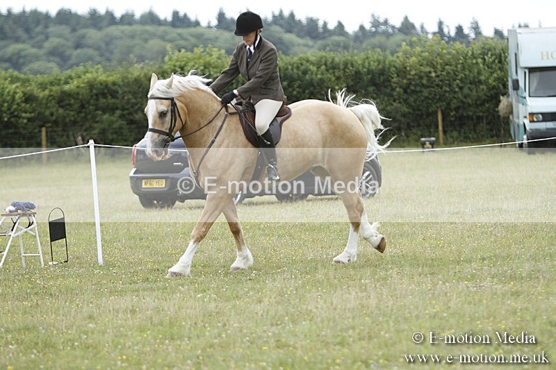 BVR160717-424 - Ring 3 BVRC Show 16/07/17