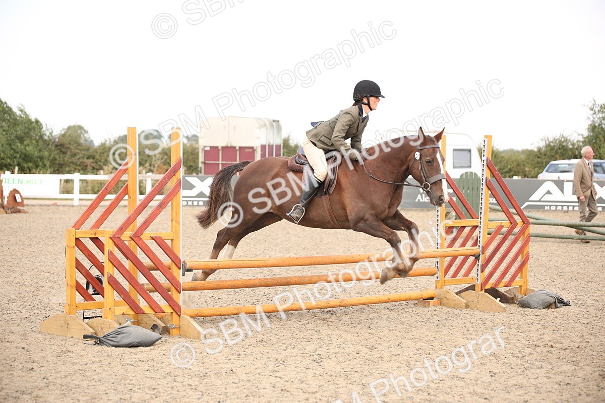 SBM_16041 - Class 408b - Working Veteran 70cm (20+)