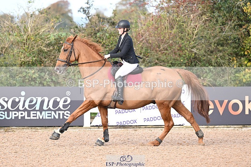 251022-103356-00078 - Clear Round & Cls 1 Brit Nov 90cm