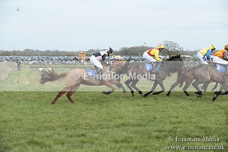 PtP 230319 267 - VWH Hunt Siddington Point-to-Point Racing 23/03/19